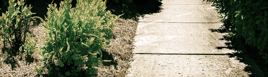 小黑ddos压力测试平台